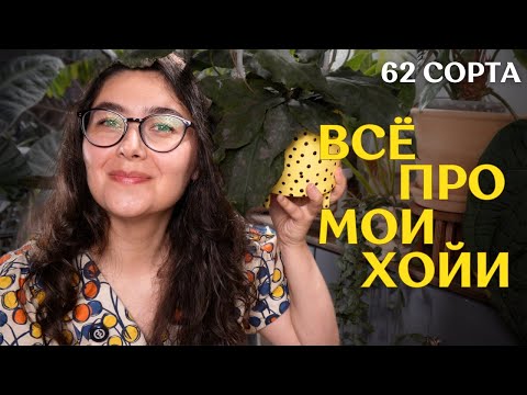 62 Π₯ΠΠΠ: ΠΊΠ°ΠΊ ΠΠ«Π ΠΠ‘ΠΠ ΡΠ°ΠΌΠΈ Π₯ΠΠΠ, ΠΈ ΠΊΠ°ΠΊ ΠΠΠΠΠΠΠΠΠΠ‘Π¬ ΠΠΠΠΠΠΠ¦ΠΠ― Π·Π° ΠΠΠ | Π±ΠΎΠ½ΡΡ ΠΈΠ· 11 ΠΠΠ‘Π₯ΠΠΠΠ β‘