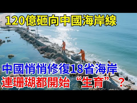 120億砸向中國海岸線!中國悄悄修復18省海岸,連珊瑚都開始“生育”?#治理工程#退耕還濕#生態保護#山水治理#超級工程