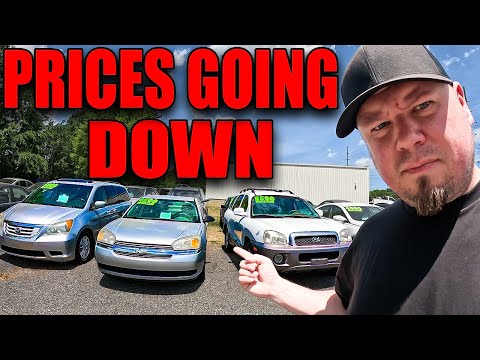 Dealers ARE HURTING, So I Bought 20 Cars - This Is What I Paid