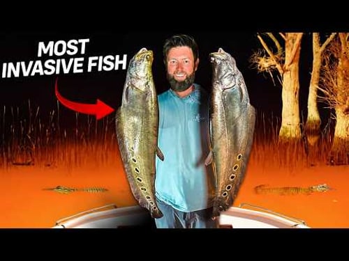 I Went Bowfishing For America's Most Invasive Fish
