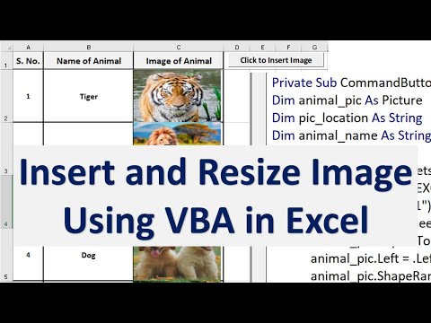 Excel VBA to Insert Picture into Cell and Resize Picture to fit into Cell
