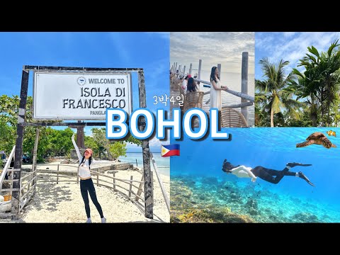 보홀여행1🇵🇭)물속에서 잠들 뻔..🏝️| 호핑투어 추천 | 돌고래.거북이 | 헤난알로나리조트 | 레드크랩 | 노스젠 | 불쇼❤️🔥