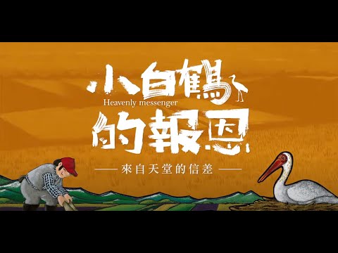 金鐘影片 小白鶴的報恩 中文字幕 精華版