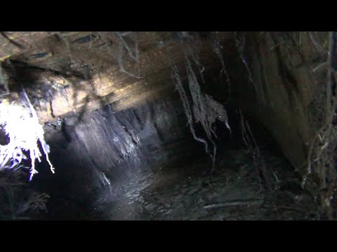 I dug up a terrifying flooded basement! I climbed in, and there were rails and copper cables!!