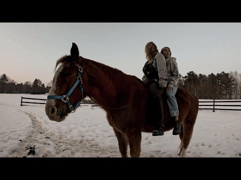 Warm Horses And Cold Drinks