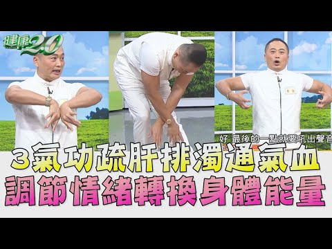 疏肝排濁通氣血 3氣功 調節情緒轉換身體能量 健康2.0 精華 彥寬老師 @tvbshealth20