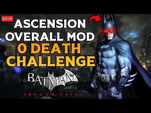 Batman: Arkham City INSANE DIFFICULTY MOD DEATHLESS CHALLENGE