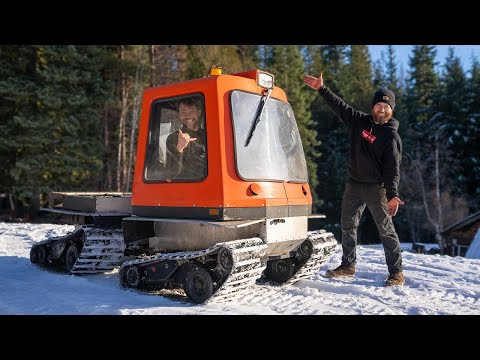 We Found a Rare Snow Cat!