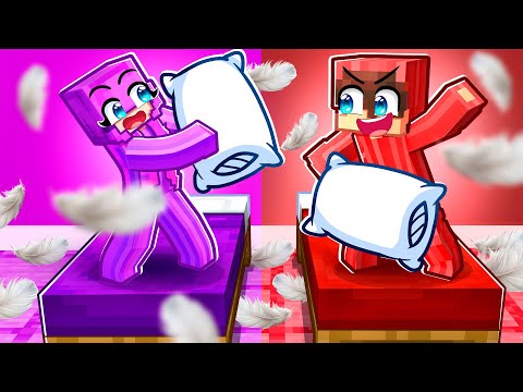 I had a SLEEPOVER with Zoey (Minecraft)
