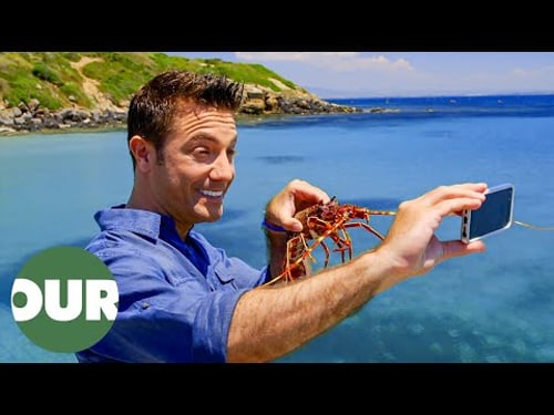Gino Catches and Cooks Sardinian Seafood | Gino's Italian Escape E15 | Our Taste