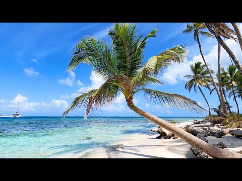 Hidden Tropical Beach Ambience in Panama