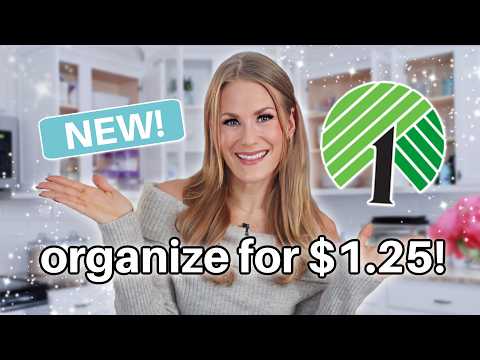 BEST Dollar Tree Organization for EVERY ROOM in 2025! π ALL my easiest viral secrets!