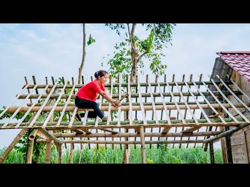 How To Build Bamboo House, Make Kitchen House | Hoàng Thị Tâm - Free Bushcraft