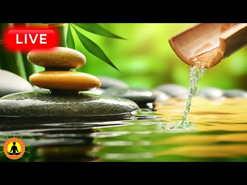 🔴 Relaxing Zen Music 24/7, Healing Music, Meditation Music, Spa Music, Sleep, Zen, Nature Sounds
