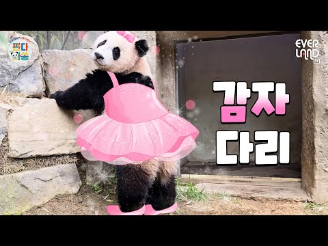 Extra-long legs. The charming sister Rui&Hui