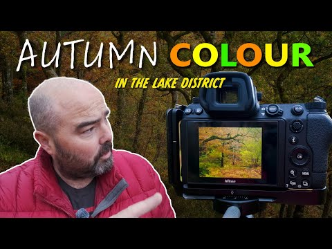 HOW TO Shoot Autumn Colour in FLAT LIGHT