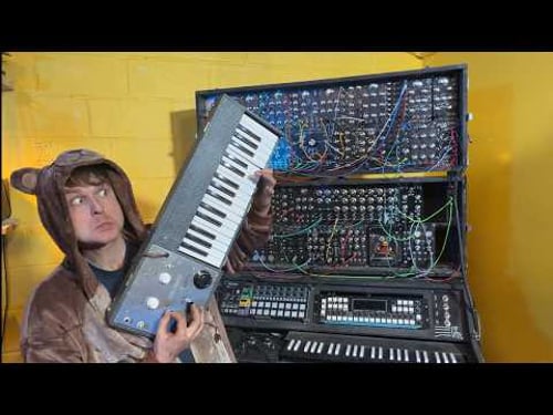 TEDDY BEARS PICNIC ON SYNTHESIZERS - Classic Songs Covered On Analog Synths