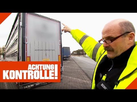 LKW zu hoch! Polizei kann LKW aber nicht stilllegen! Warum? | Achtung Kontrolle | kabel eins