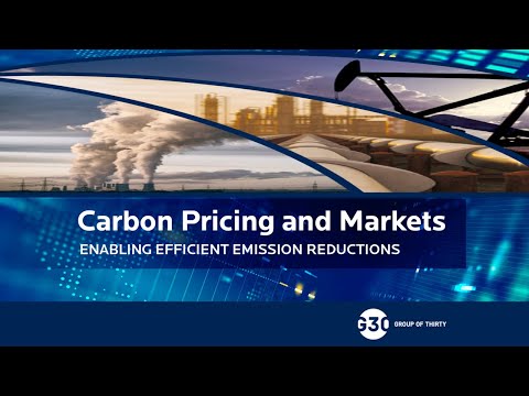 Carbon Markets and Pricing: Enabling Efficient Emission Reductions
