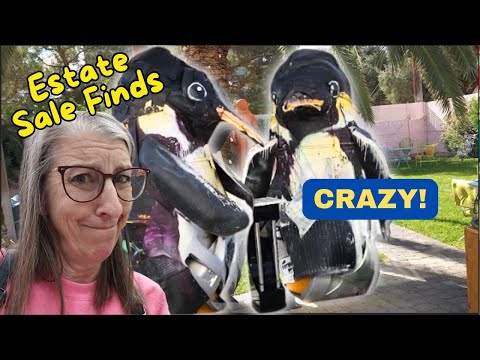 THE CRAZIEST ESTATE SALE I've Ever Shopped At!