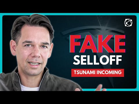 What the Tesla Earnings Call REALLY Revealed