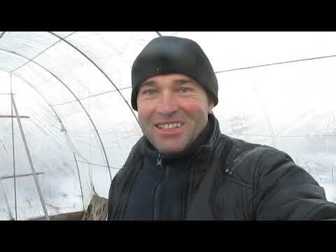 НАЧАЛСЯ СЕЗОН ОБРЕЗКИ? Сохраняем спокойствие!