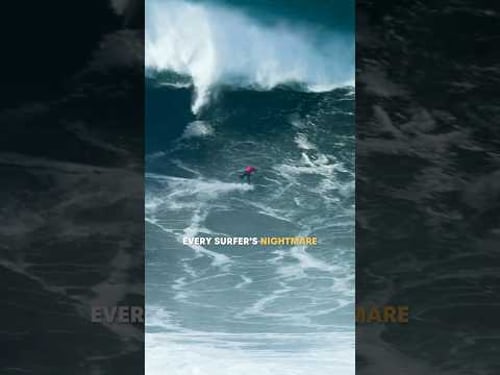 Every Surfer's Nightmare ๐คฏ