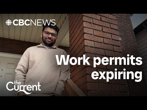 More than a million work permits expire this year in Canada. What’s next?