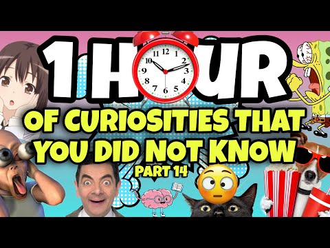 1 HOUR OF CURIOSITIES AND THINGS YOU DIDN'T KNOW 🧠⏰ #14