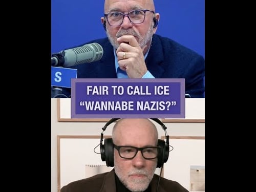 Is It Fair to Call ICE "Wannabe Nazis?"