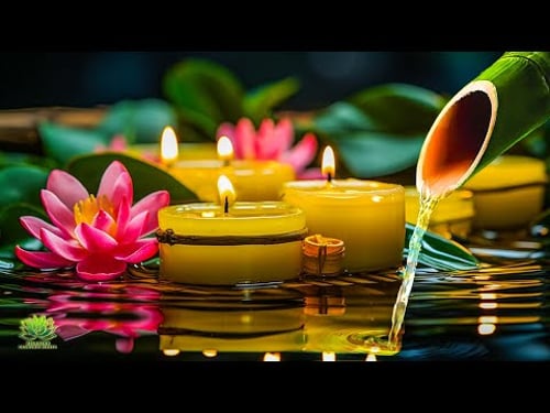 Relaxing Piano Music & Water Sounds | Bamboo, Calming Music, Meditation Music, Nature Sounds , ASMR.