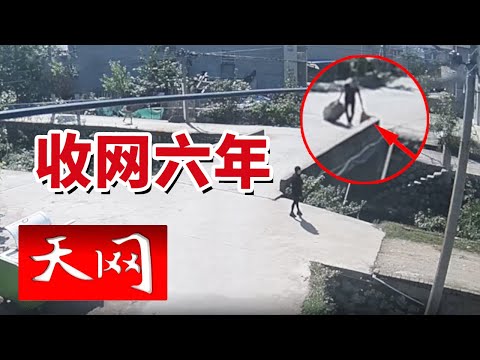 《天网》两个神秘包裹牵出跨境毒网 幕后黑手究竟藏身何处?20250624