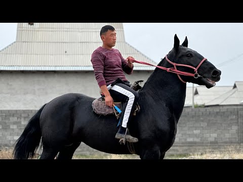 МЫНДАЙ БЫШТЫ КЕМ ЧЫГАТ 🤯 #байтв