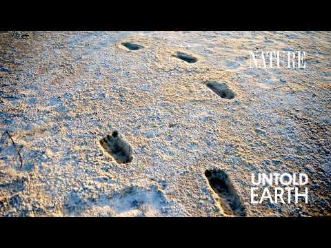 These Ancient Footprints Rewrite Human History