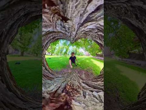 Insta360 X5 Tree Tunnel Idea π² #insta360 #360video #insta360x5