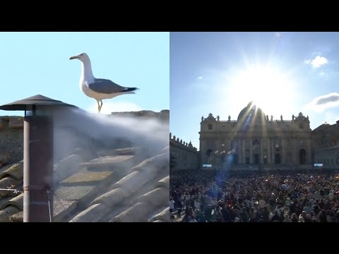 Watch the moment white smoke emerges from Sistine Chapel sending the huge crowd wild
