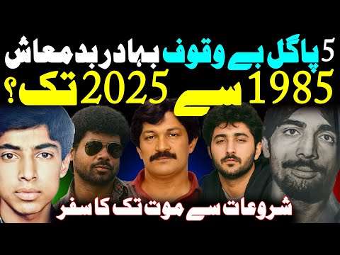 5 Don Bala Gaddi, Asad Prince, Raees Kalia, Zahid Urf Zada, Rizwan Urf Patto Khan || Shaan Pakistan