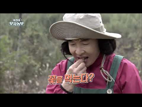 역전의 부자농부 69회 - 동국(겨울국화) & 치유농업