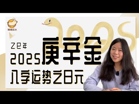 2025年运「庚金辛金」命主的乙巳年运势【直播回放精华版】✨猪猪运势✨