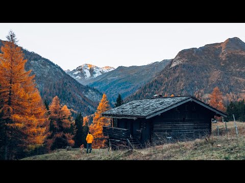 Cabin Life Off Grid In Austria