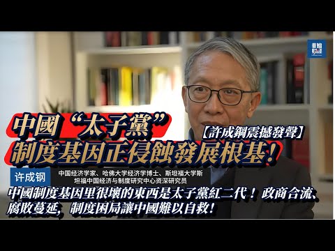 【許成鋼震撼發聲】中國制度基因里很壞的東西是太子黨紅二代 !中國“太子黨”制度基因正侵蝕發展根基!政商合流、腐敗蔓延,制度困局讓中國難以自救!#中国经济 #许成钢 #太子党 #红二代 #官僚腐败