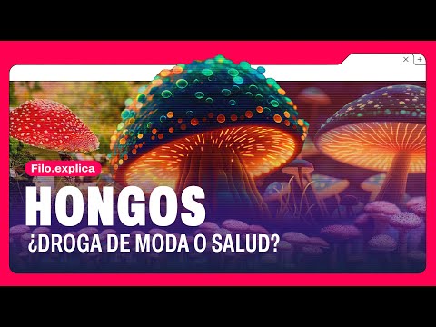 MICRODOSIS DE HONGOS: ¿MODA O SALUD? | Filo.Explica