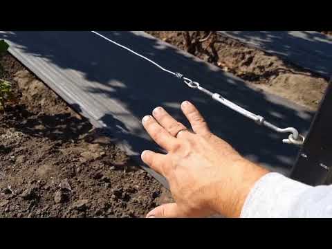 Наконец-то ухожу от земляного укрытия винограда в зиму, перехожу на спанбонд и вот почему?