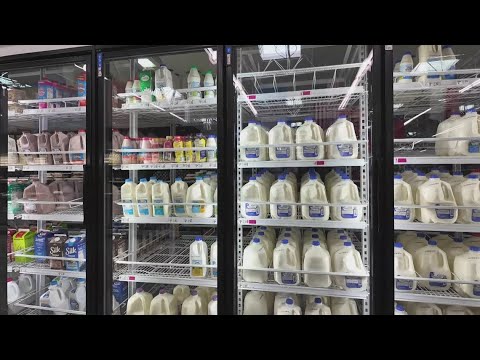 Cold snap fuels rush at grocery stores across Central Texas