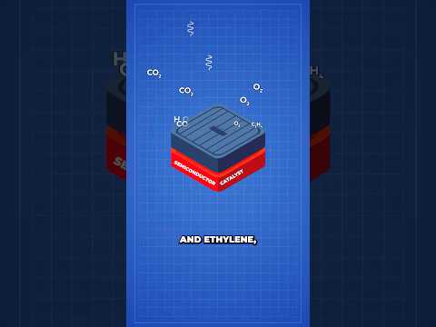 Chinese Astronauts Demonstrate First 'Artificial Photosynthesis' In Space