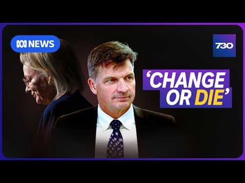 Can Angus Taylor save the Liberal Party? | 7.30