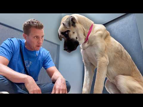 Watch her reaction to being told 'Good Girl' 🥹