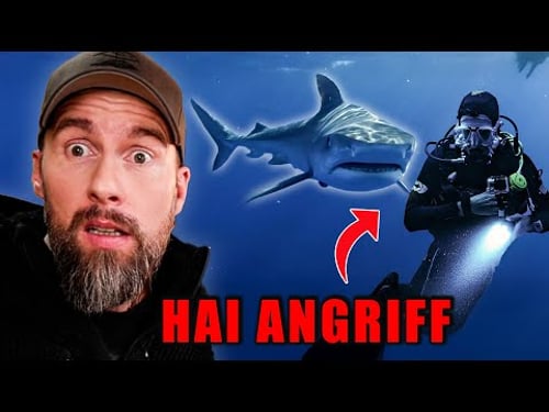 4 TOTE durch HAI-ATTACKEN in 2 WOCHEN?! Was ist Passiert? | Robert Marc Lehmann reagiert
