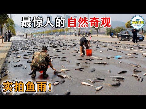 伊朗街头实拍“鱼雨”轰炸,活鱼砸穿车窗!15 种震撼到窒息的自然奇观,科学家都懵了!丨地球之最#冷知识 #排名 #世界之最#地球之最top#世界之最top#top10#top15#最惊人的#自然现象