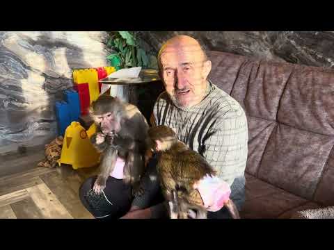 Daddy's happiness, everything is close by, and Lyuska just sat on her knee)))